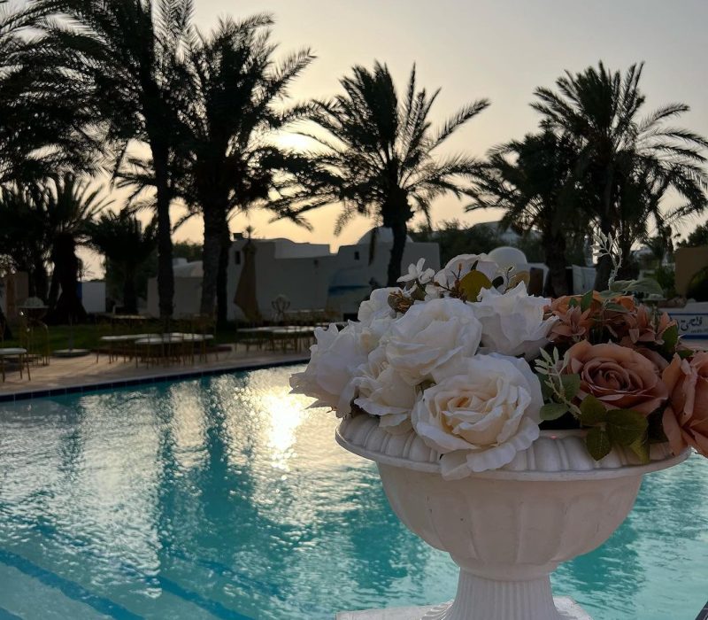 356896942_17855952710987182_6497903964027288786_n-1